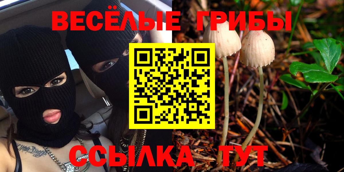 Галлюциногенные грибы MAGIC MUSHROOMS Нарьян-Мар