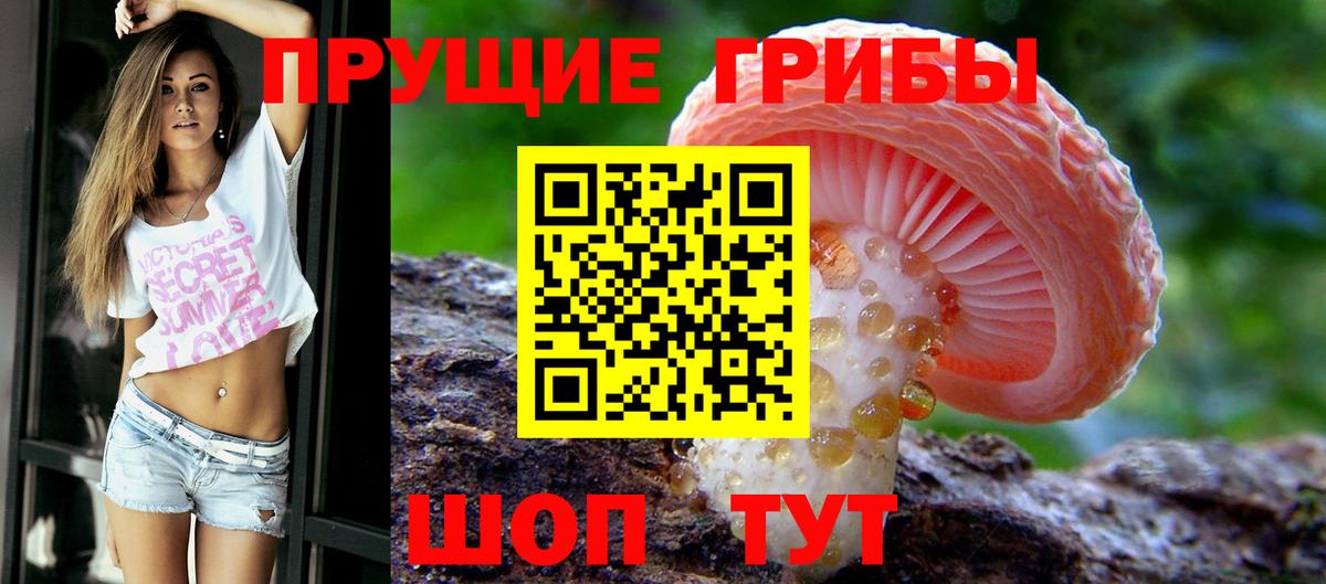 Галлюциногенные грибы Cubensis  Вход с VPN  Нарьян-Мар  Галлюциногенные грибы Magic Shrooms 